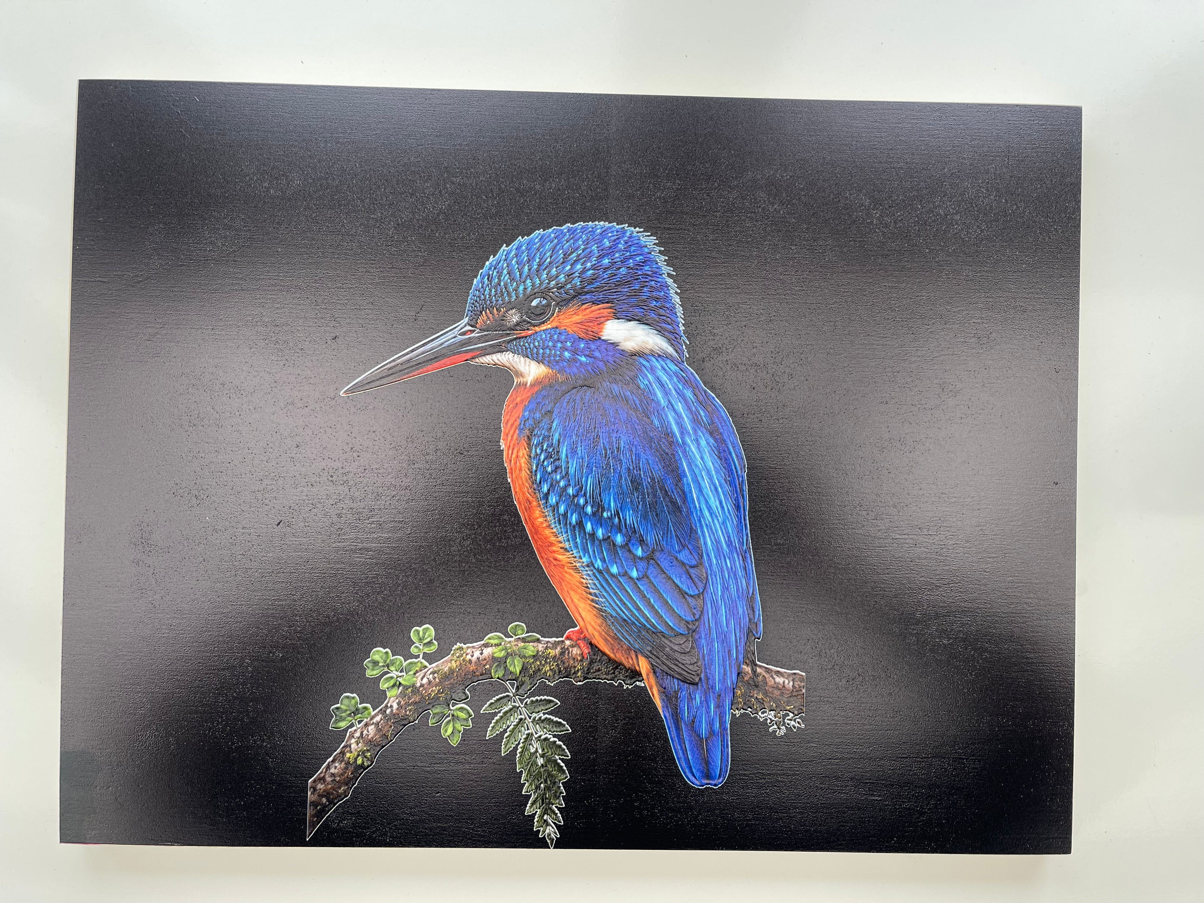 Kingfisher Print