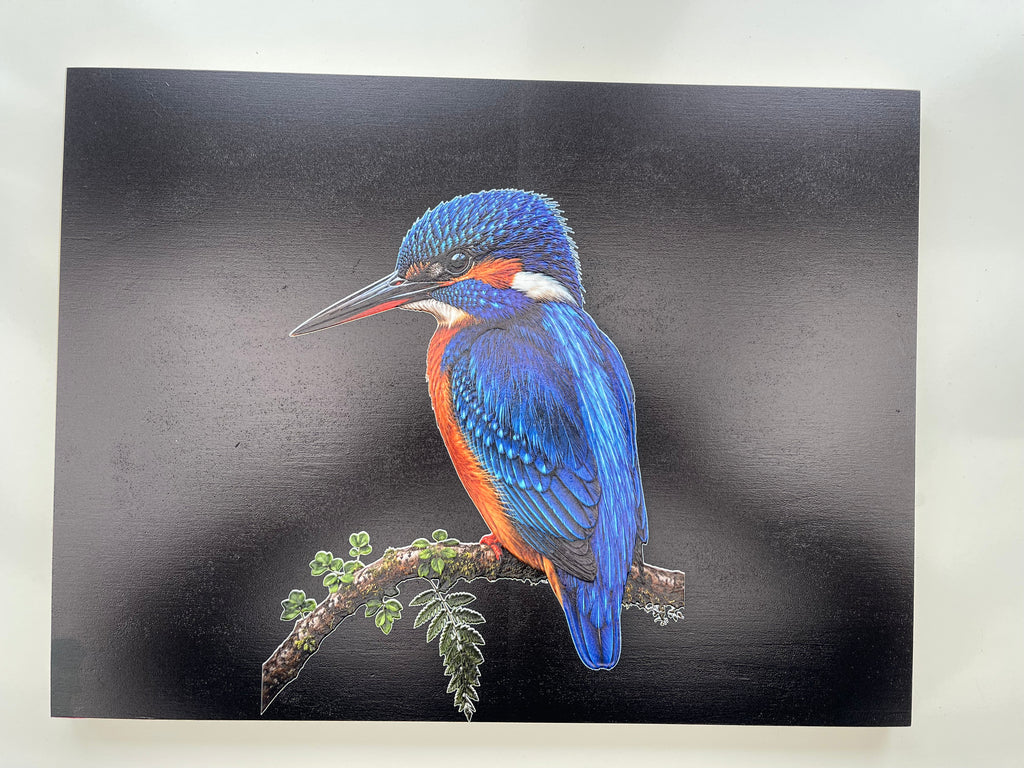 Kingfisher Print