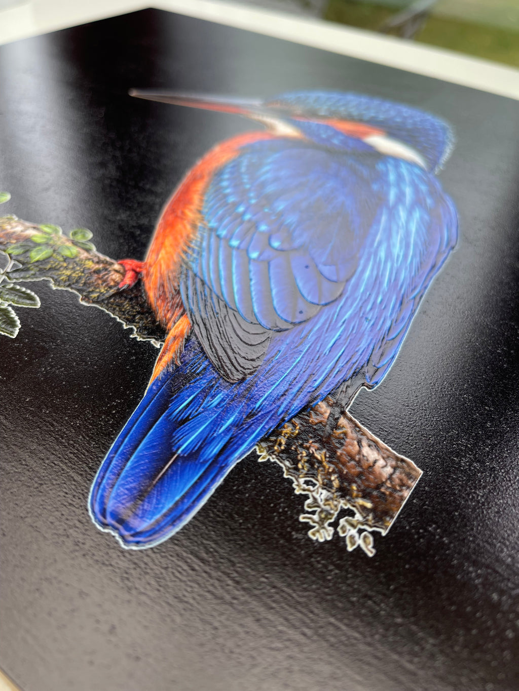 Kingfisher Print