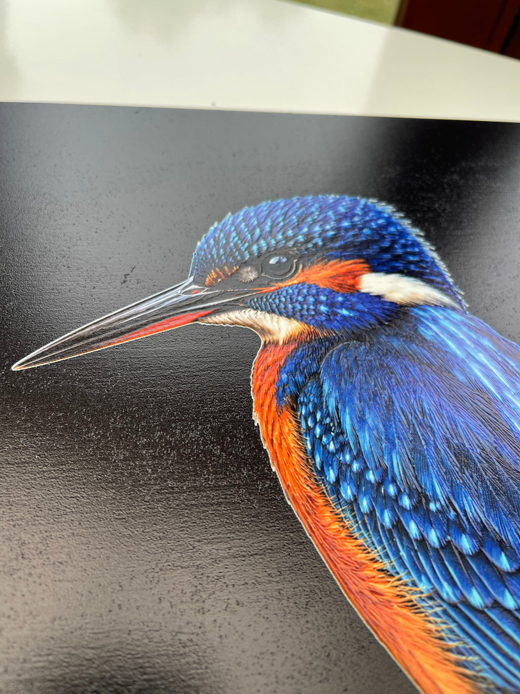 Kingfisher Print