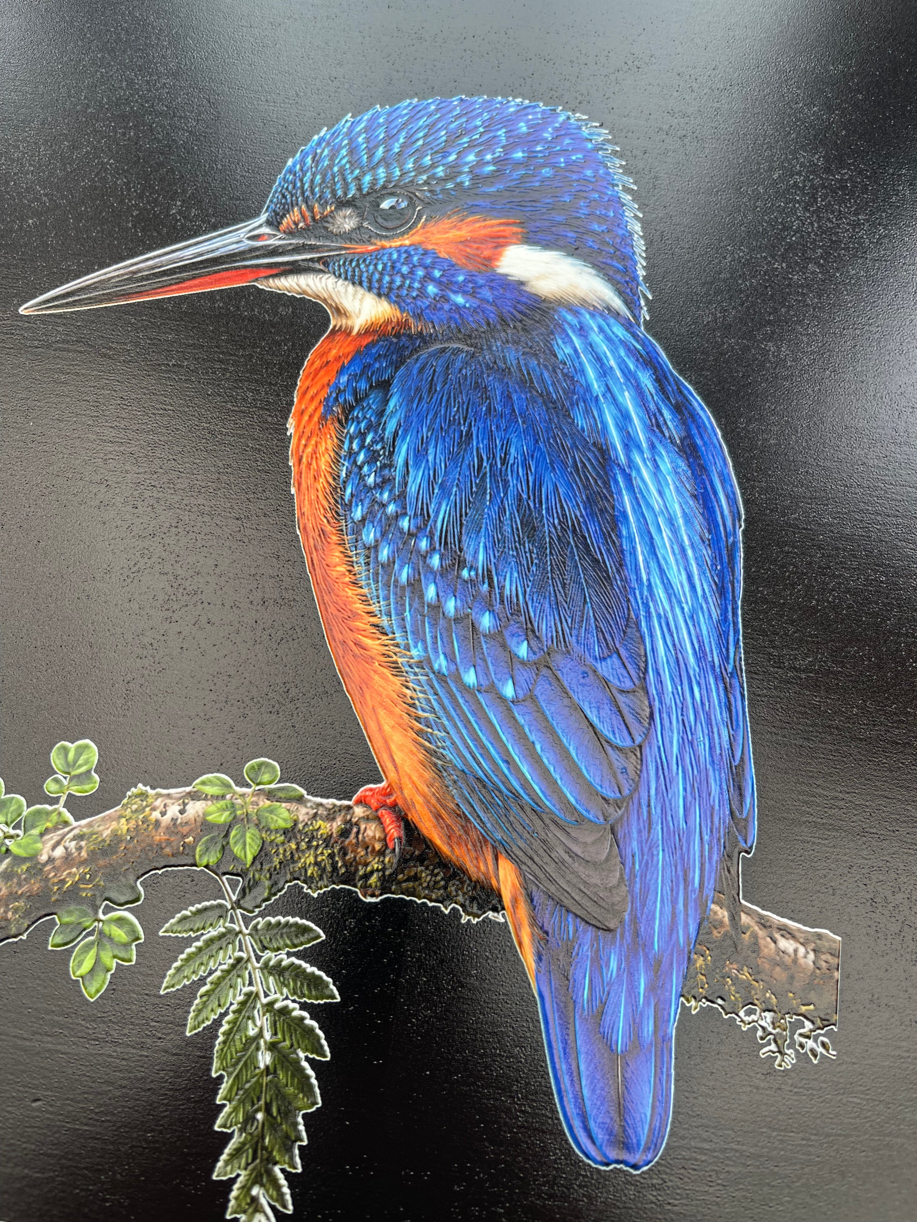 Kingfisher Print